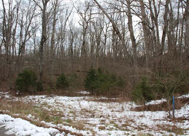 Property at Lot 34 Elly Ln, Flippin, AR 72634
