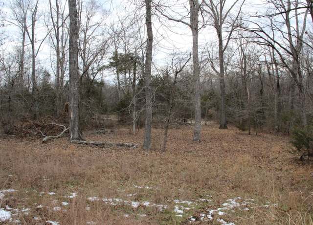 Property at Lot 32 Elly Ln, Flippin, AR 72634