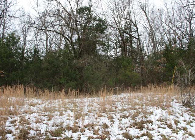 Property at Lot 2 Mc 8064, Flippin, AR 72634