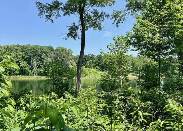 Property at Lot 49 Cane Island Rd, Flippin, AR 72634
