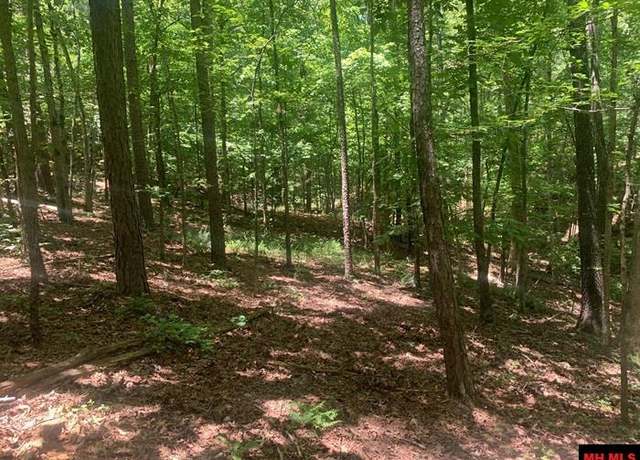 Property at 132 Mc 6047, Yellville, AR 72687