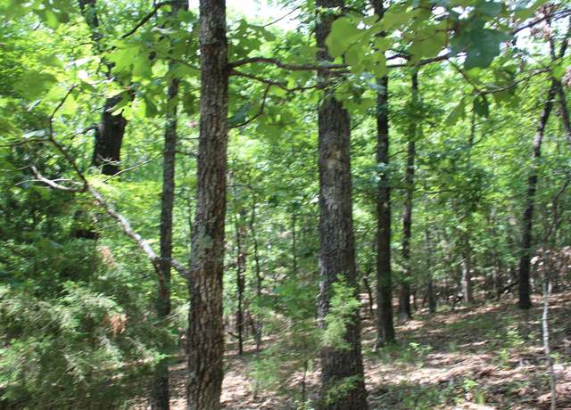 Property at Lot 9B Country Club Dr, Theodosia, MO 65761