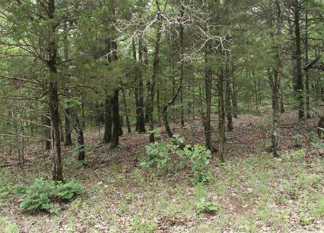 Property at 170613000000004 Cr 1, Gainesville, MO 65655