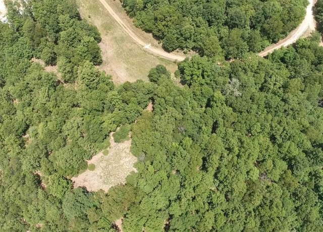 Property at 356-00041-000 Lakeshore Dr, Protem, MO 65733