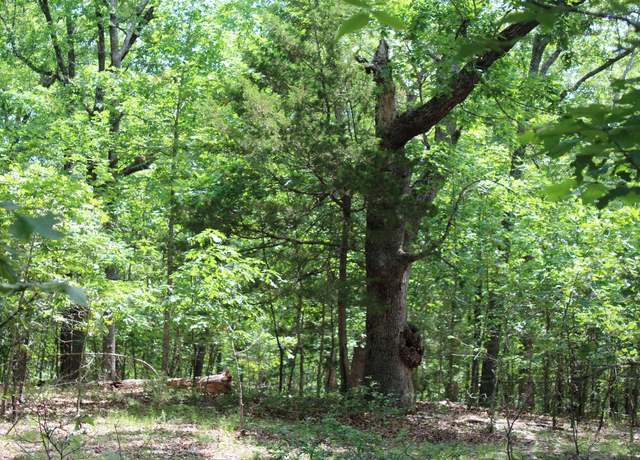 Property at 356-00010-000 Lakeshore Dr, Protem, MO 65733