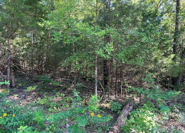 Property at Lot 45 Hourglass Dr, Midway, AR 72651