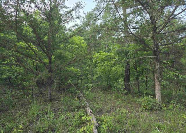 Property at 001-01664-000 N Hopewell Hollow Rd, Norfork, AR 72658