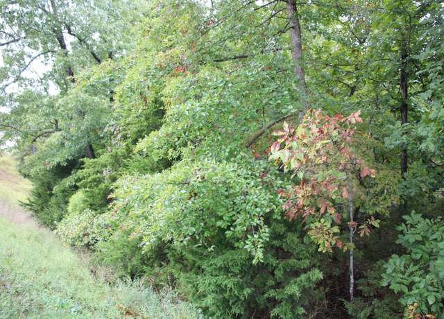 Property at 001-02664-000 N Hwy 178, Flippin, AR 72634