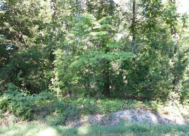 Property at 001 08837 000 Mccracken Ridge Rd, Mountain Home, AR 72653