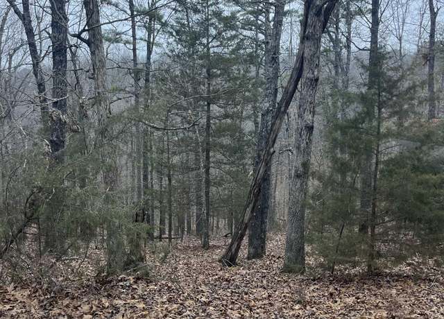 Property at 001-08910-007 Cr 8107, Yellville, AR 72687
