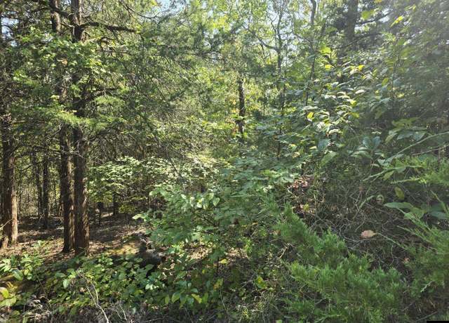 Property at 760-22353-000 Beltline Rd, Bull Shoals, AR 72619