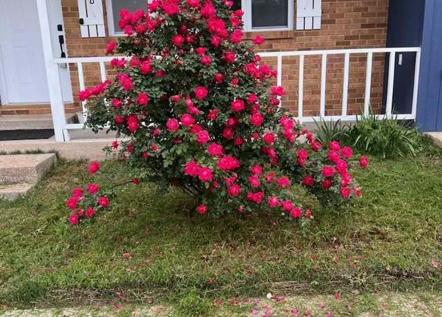 Property at 218 Cornell St, Gassville, AR 72635, 4 beds, 2 baths