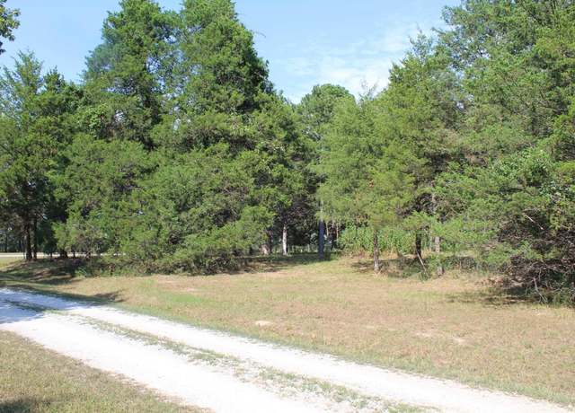 Property at 36300025000 Airline Dr, Protem, MO 65733