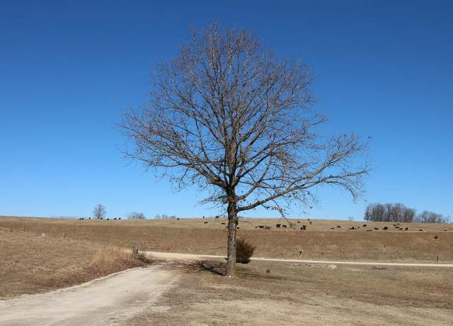 Property at 250735000000007 State Hwy Y, Willow Springs, MO 65793