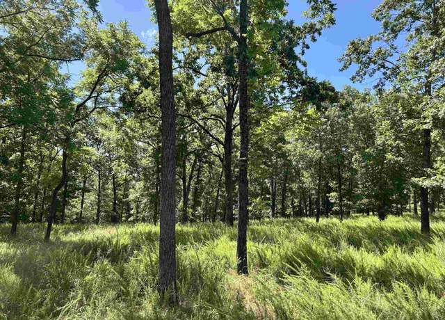 Property at 001-06802-000 Mc 8010, Yellville, AR 72687