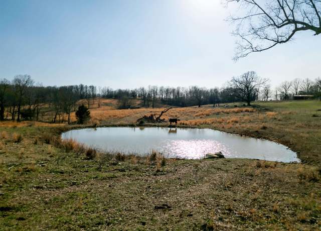 Property at 500 Bamber St, Mammoth Spring, AR 72554