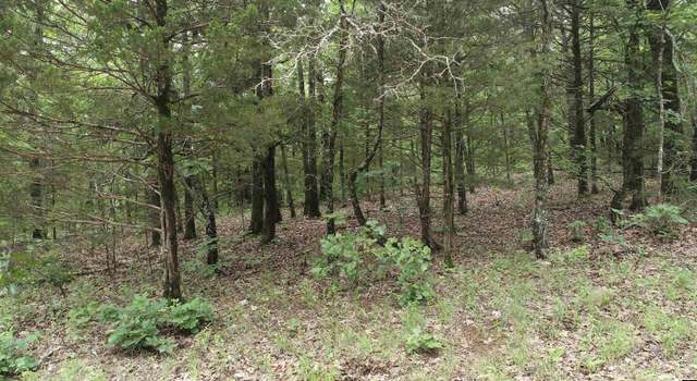 Photo of 170613000000004 Cr 1, Gainesville, MO 65655