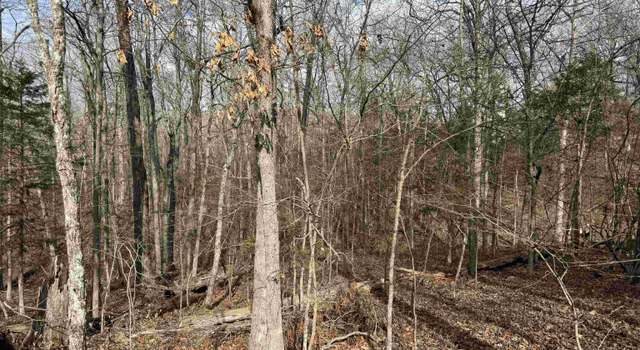 Photo of 760-24342-000/7 Alta Vista Dr, Bull Shoals, AR 72619