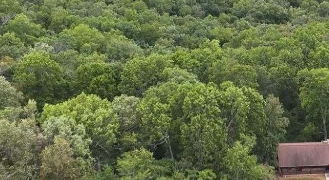 Photo of Lot 25 Cr 804, Gamaliel, AR 72537