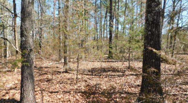 Photo of 516 Quail Way, Dolph, AR 72528