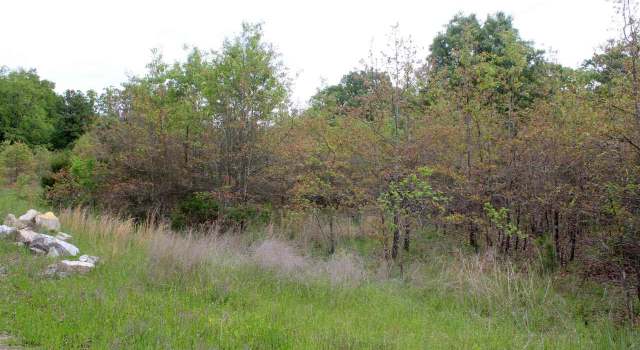 Photo of Lot 6 Farmer Cir, Salesville, AR 72653