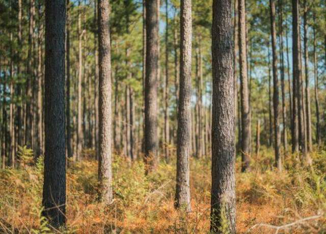 Property at 78.6 Ac Strickland Rd, Cairo, GA 39828