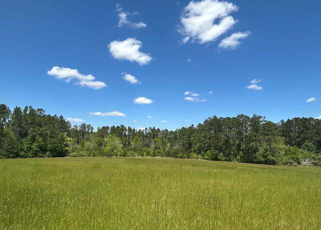 Property at 38.02 ac Old Thomasville Rd, Ochlocknee, GA 31773