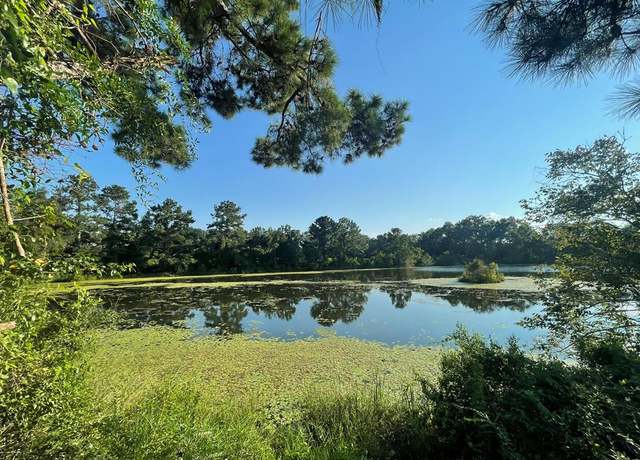 Property at 220 Dillon Rd (28 Acres) Rd, Thomasville, GA 31757