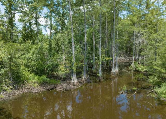 Property at 431 Dry Lake Rd, Boston, GA 31626