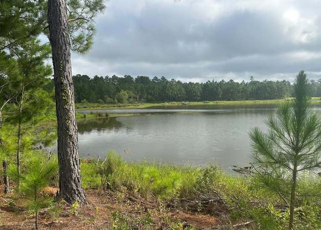Property at 27286 N Us Hwy 19, Ochlocknee, GA 31773