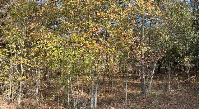 Photo of 0 Milton Miller, Colquitt, GA 39837