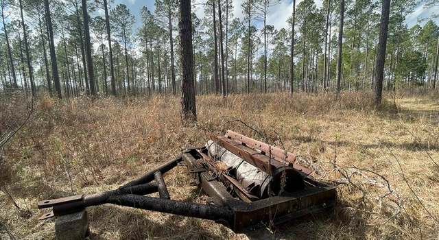 Photo of 420 Boles Road (38 Acre), Boston, GA 31626