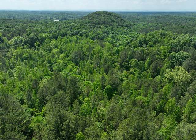 Property at 0 Apple Rd, Ranger, GA 30734