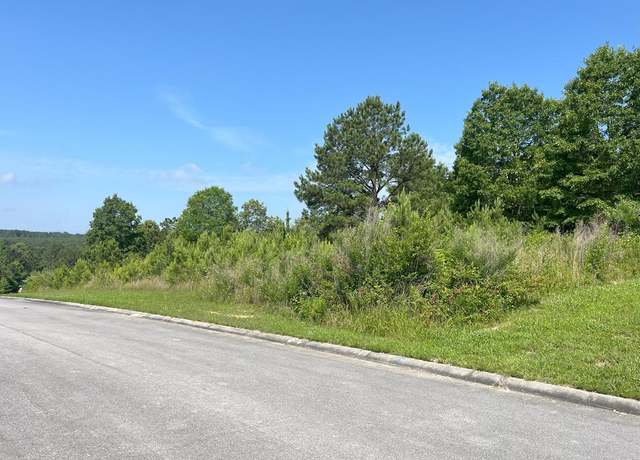 Property at 0 Stonegate Pl, Cohutta, GA 30710