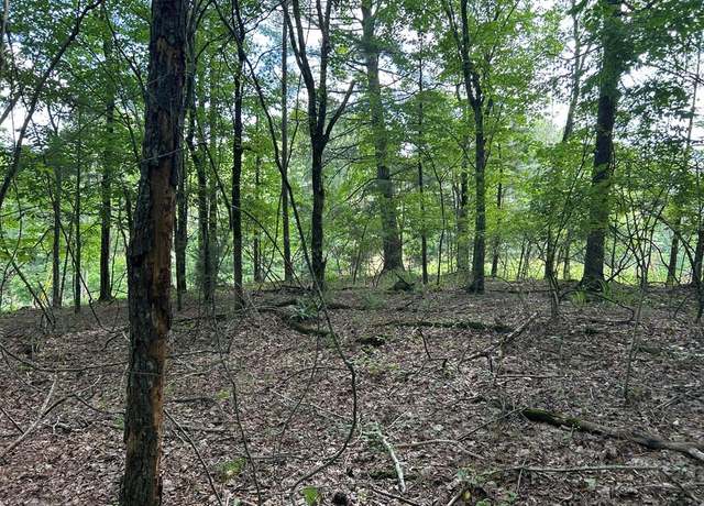Property at 0 Camp Branch Rd, Ellijay, GA 30540
