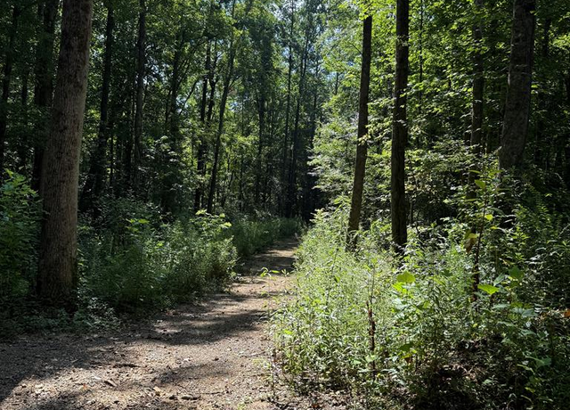 Property at 0 Ledford Rd, Cohutta, GA 30710