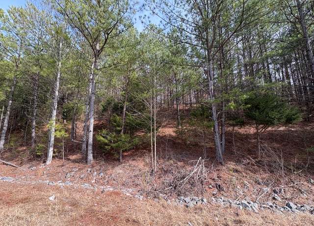 Property at Tract 1C Cleveland Hwy, Cohutta, GA 30710
