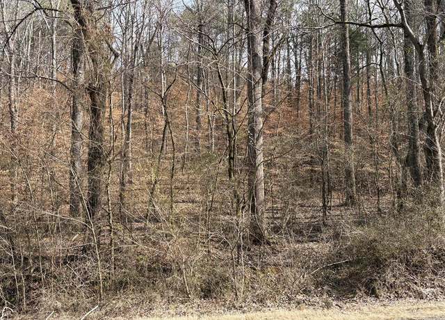 Property at Tract 1E Cleveland Hwy, Cohutta, GA 30710
