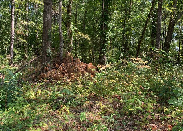 Property at 0 Hwy 411s, Chatsworth, GA 30705