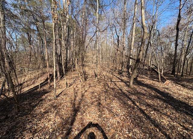 Property at Tract 1F Cleveland Hwy, Cohutta, GA 30710