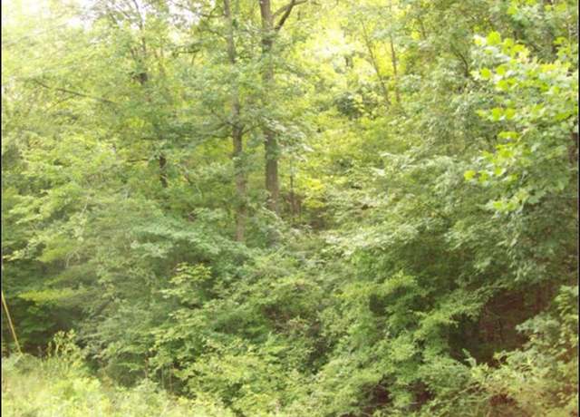 Property at 0 Leon Cir, Chatsworth, GA 30705
