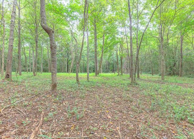 Property at TRACT 5 Old Dalton Cleveland Hwy, Cohutta, GA 30710