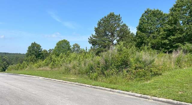 Photo of 0 Stonegate Pl, Cohutta, GA 30710