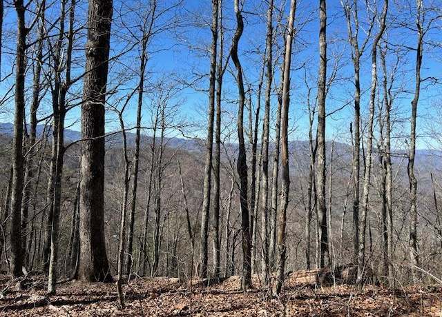 Property at 0 Battle Br, Bryson City, NC 28713