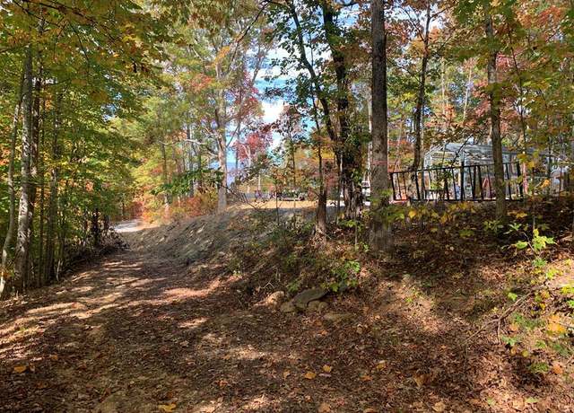 Property at 0 Black Forest Dr, Bryson City, NC 28713