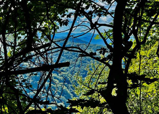 Property at 0 Turkey Ridge Run, Bryson City, NC 28713