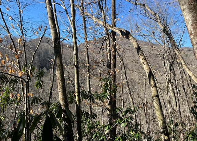 Property at Tract 6 Upper North Fork Creek Rd, Sylva, NC 28779