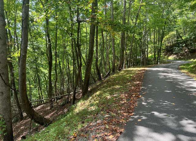 Property at 00 Trimont Mountain Rd, Franklin, NC 28734
