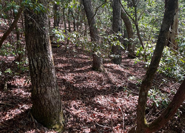 Property at Lot 1 Highlands Pass, Franklin, NC 28734