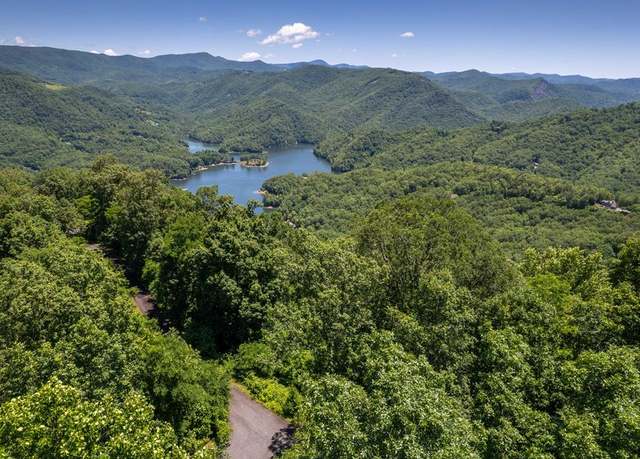 Property at 430 Nannyberry Ln, Tuckasegee, NC 28783